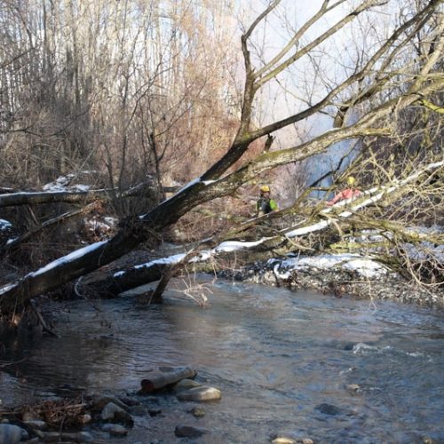 Travaux d’entretien de rivière et génie végétal