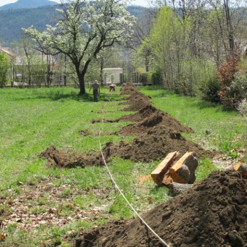 Plantation de fruitiers et d’arbres d’ornement