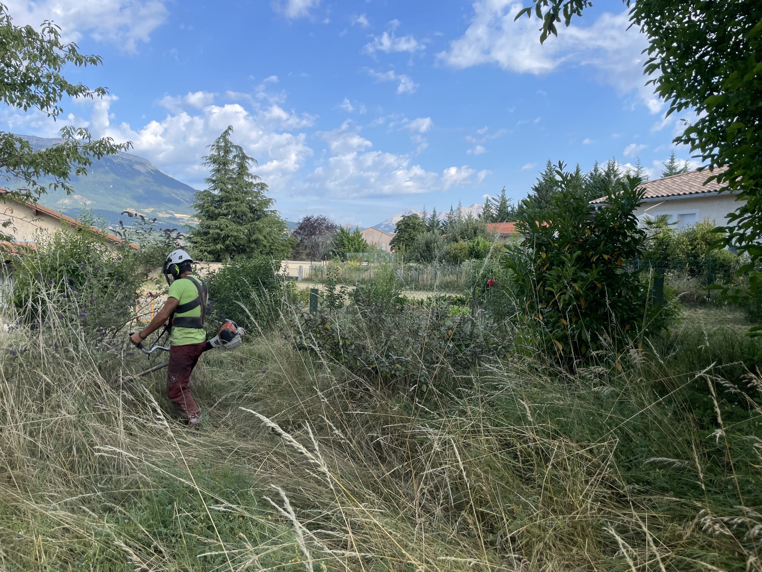 Zoom sur les obligations de débroussaillement dans les Hautes-Alpes